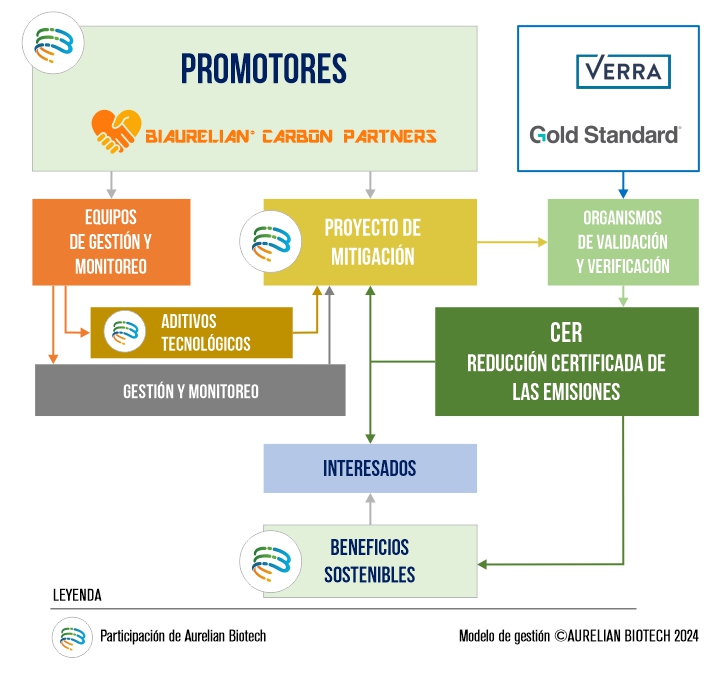 GESTIÓN DE LOS PROYECTOS CARBON