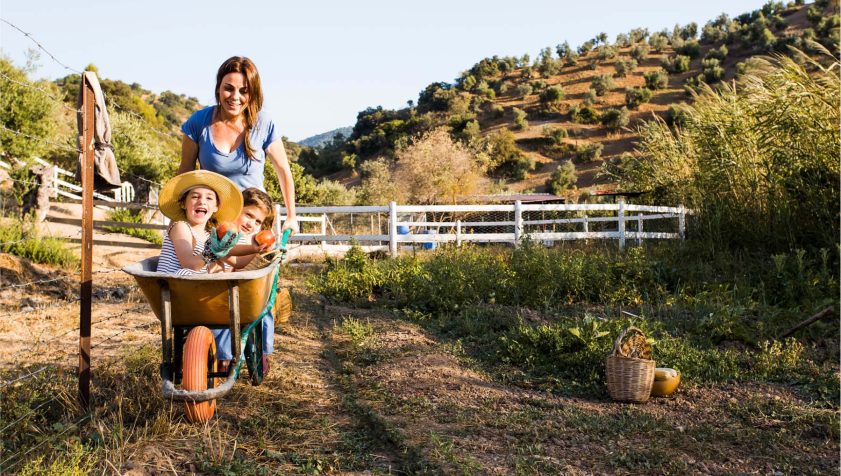 proyectos en SEPOR Lorca