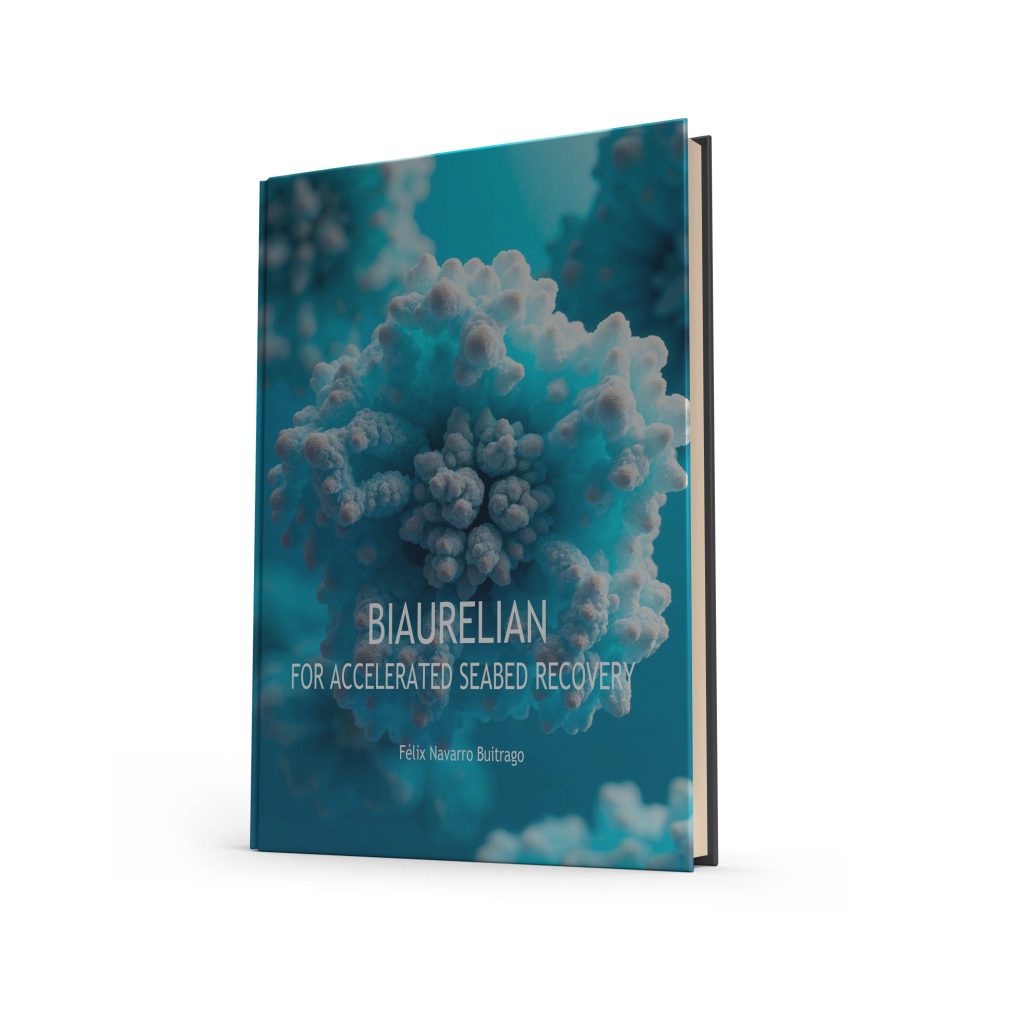 Recuperación de Fondos Marinos